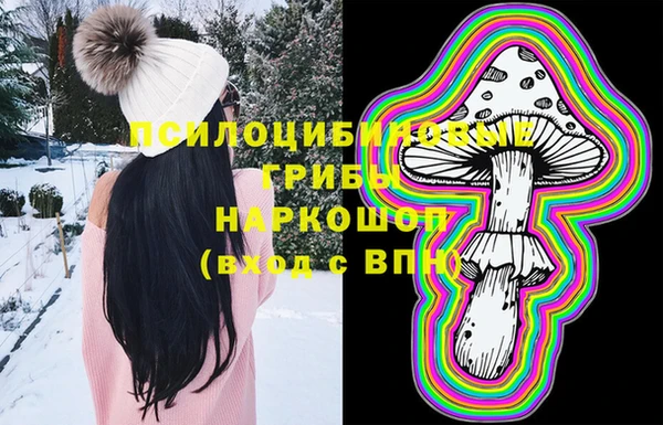 первитин Инсар