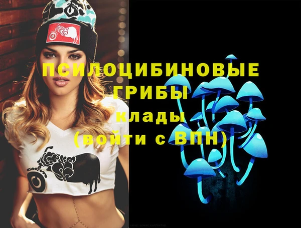 амф Инта