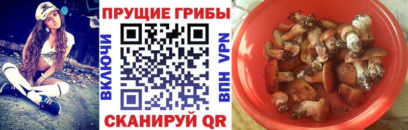 Галлюциногенные грибы Cubensis  Называевск 